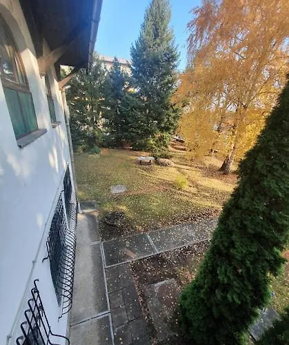 Nosztalgia *